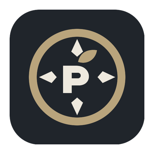 pucuk4d